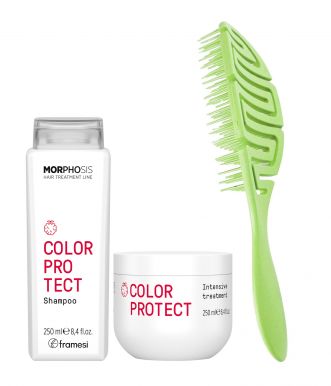 Balíček Framesi Morphosis Color Protect - Šampon 250ml + Maska 250ml + Kartáč