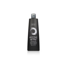 BES Color Reflection Shampoo Artic Grey 300ml - Šampon na přípravu studeného tónovaní