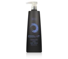 BES Color Reflection Shampoo Cool-it 1000ml - Šampon na neutralizaci žlutých tónů