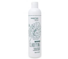 BES Colour Lock Clarifying Shampoo New 300ml -  Čistící šampon