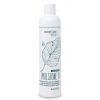 BES Colour Lock Emulze D New 300ml - Rozčesávácí a uzavírací emulze