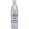 BES Cool-It Shampoo 300ml - Šampon ke stahování žlutých vlasových pigmentů