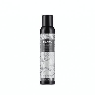 Black Blanc Volume Up Root Spray 300ml - Sprej pro objem vlasů