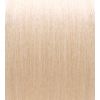 Sinergy Zen Hair Color: 11/0 Biondo Platino Ultrachiaro - Ultra světlá platin. blond