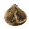 Sinergy Hair Color: 7/7 Hazelnut - Lískový ořech