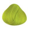 Directions barva: Fluorescent Lime