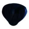 BES Hi-Fi - Barva na vlasy: 1.90 - černá modrá
