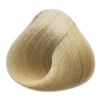 Absoluk Hair Color: 10.3 Extra Light Golden Blonde