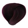 BES Hi-Fi - Barva na vlasy: 4.20 - kaštanová fialová