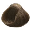 Absoluk Hair Color: 7.0I Ice Blonde