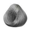 Absoluk Hair Color: 7SM Silver Metallic