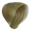 BES Hi-Fi - Barva na vlasy: 8.1 - světlá blond popelavá