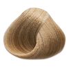 Absoluk Hair Color: 8.82 Light Iridescent Brown Blonde