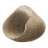 Absoluk Hair Color: 9.0I Very Light Ice Blonde