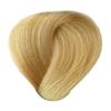 BES Hi-Fi - Barva na vlasy: 9.23 - světlejší blond fialově zlatá