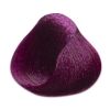 Absoluk Hair Color: 9.72 Very Light Violin Blonde 