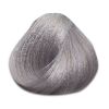 Absoluk Hair Color: 9SM Light Silver Metallic