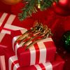 Framar Pinety do vlasů Holly Days, 4ks - Tight Tension
