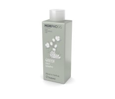 Framesi Morphosis Green Daily Shampoo 250ml - Šampon pro každodenní použití