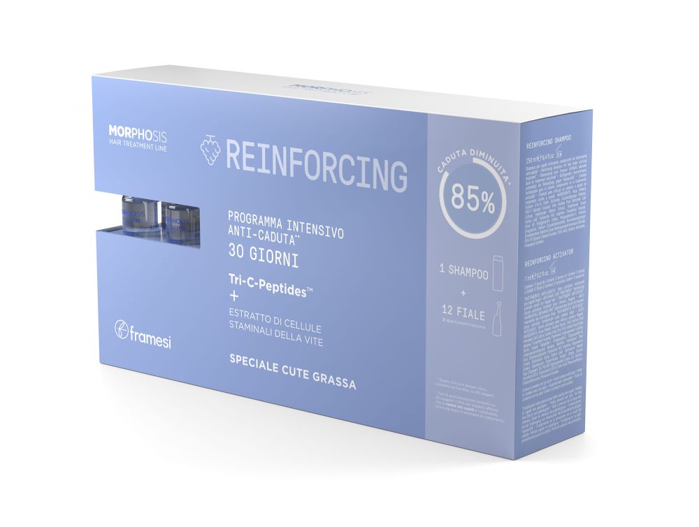 Framesi Morphosis Reinforcing Kit