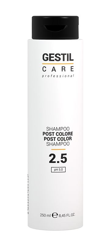 Gestil Care 2.5 Post Color Shampoo 250ml - Šampon na barvené vlasy