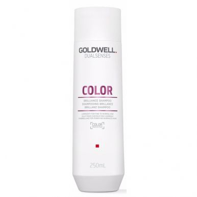 Goldwell Dualsenses Color Shampoo 250ml - Šampon na jemné barvené vlasy