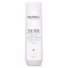 Goldwell Dualsenses Silver Shampoo 250ml  - Stříbrný šampon