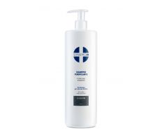 Sinergy Treatment Purifying Shampoo 1000ml - Šampon proti lupům