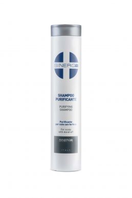 Sinergy Treatment Purifying Shampoo 250ml - Šampon proti lupům