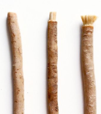 Yoni Tootbrush - Přírodní zubní kartáček